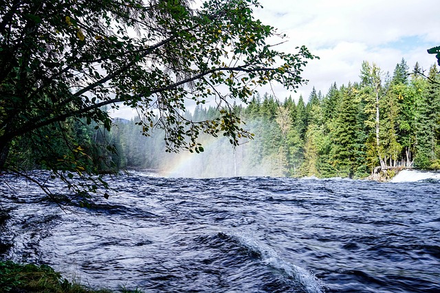 risk governance dashboard with thresholds